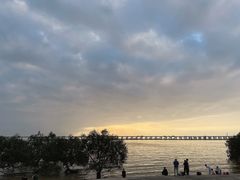 -宝安西湾红树林湿地公园