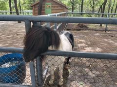 -长白岛森林公园