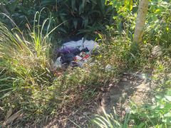 -梧桐山风景名胜区