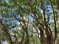 -北海市海滨公园