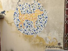 -槟城街头艺术街区