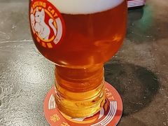 -Boxing Cat Brewery拳击猫精酿啤酒馆(永福店)