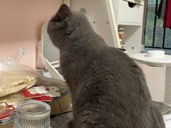 -久健盲人推拿(春江佳园店)