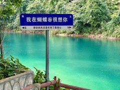 -鼎湖山风景区