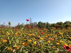 -帽儿山国家森林公园