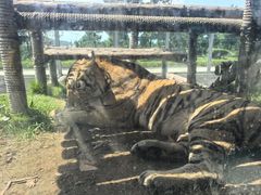 -西霞口神雕山野生动物世界