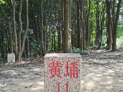 -黄埔油麻山森林公园