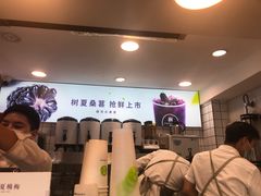 -树夏(建设路店)
