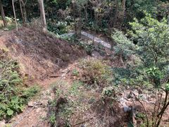 -火炉山森林公园