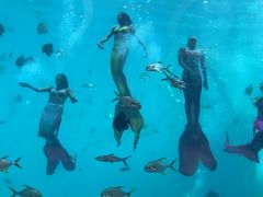 -瑞德姆美人鱼海底演艺主题餐厅(亚龙湾店)