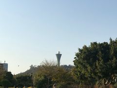 -白鹭洲公园