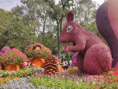 -广州市白云山风景名胜区