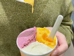 -Dip in Gelato(富民路店)