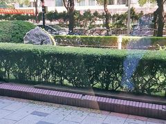 -维乐口腔(格林门诊长宁店)