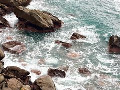 -广东惠东海龟国家级自然保护区