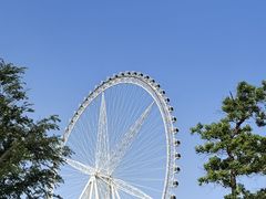 -祥源·阜阳生态乐园