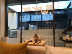 -啵啵喵·猫咖(攀华国际店)