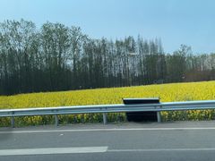 -桤木河湿地公园