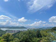 -黄贤森林公园