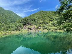 -大奇山国家森林公园