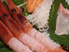 -初花·日本料理