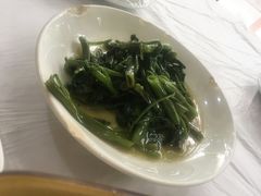 -明升萝卜汤