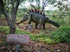 -千年银杏谷文化旅游区