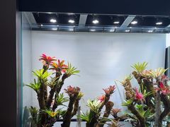 -扶摇湘宴·烤鸭·湘粤宴(中关村·北大店)