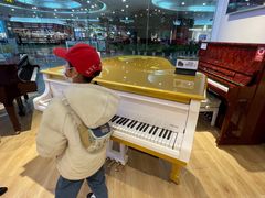 -柏斯音乐艺术中心·钢琴·吉他(世纪金源店)