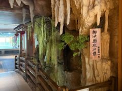 -御池园(顾村公园店)