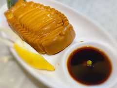 素鲍鱼-顺风海鲜港(长寿路店)