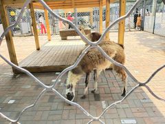 -长白岛森林公园