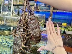 -友强·23年特色海鲜大排档(厦门店)