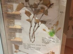 -万达广场(松江店)