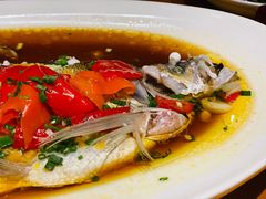 翘嘴鲌鱼-丹江渔村(望京店)