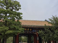 -武清南湖绿博园