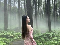 -洛阳白云山景区