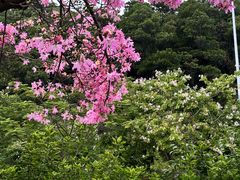 -细村农贸综合市场