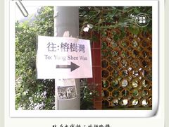 -南丫岛