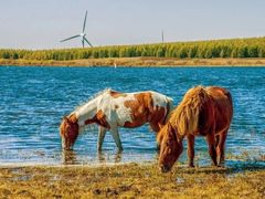 -塞罕坝国家级自然保护区