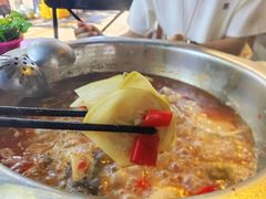 -大理.老字号渝记酸萝卜乌鱼(古城总店)