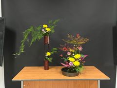-荷兰布尔玛国际花艺学院
