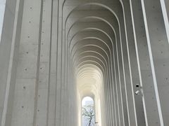 -中国宣纸文化园
