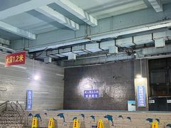 -青蛙游泳培训基地(朝阳校区)