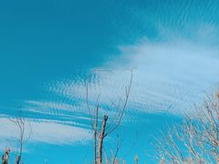 -大理洱海