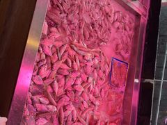 -瑞记湛江鸡饭店·粤西第一鸡(粤垦店)