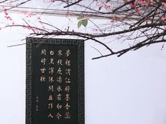 -八大山人梅湖景区