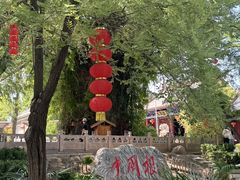 -大槐树寻根祭祖园