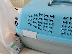 -关爱宠物医院·猫科中心·消化科(滨湖万达分院)