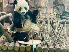 -五龙山野生动物王国